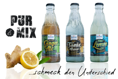 Duponia Ginger Ale 30 x 0,25 l